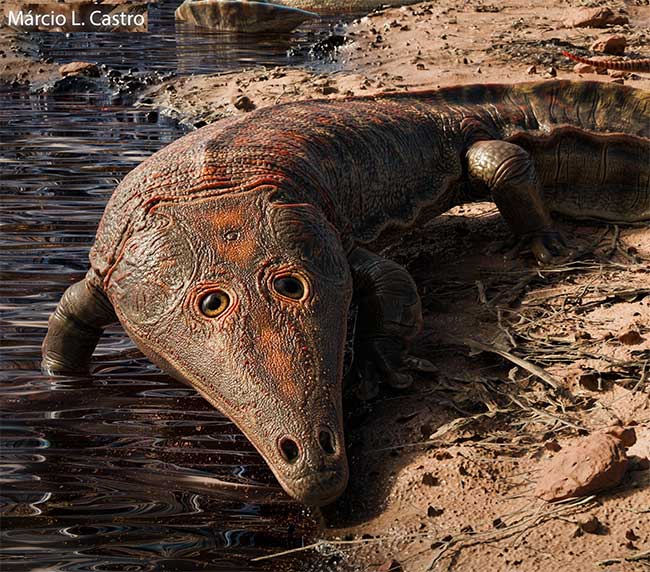 Thủy quái Kwatisuchus rosai - (Ảnh: Márcio Castro).