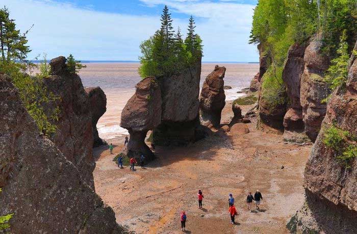 Khách du lịch đi dạo trên bãi biển khi thủy triều xuống tại Hopewell Rocks ở New Brunswick, Canada. Bờ biển nằm trên Vịnh Fundy, nơi có thủy triều cao nhất thế giới, khi nước rút có thể tìm thấy hóa thạch.