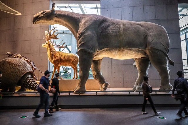 Paraceratherium là một sinh vật khổng lồ và đáng kinh ngạc, thống trị Trái đất trong kỷ Oligocene. Kích thước khổng lồ và lối sống độc đáo của nó khiến nó trở thành một trong những động vật có vú hấp dẫn nhất từng tồn tại.