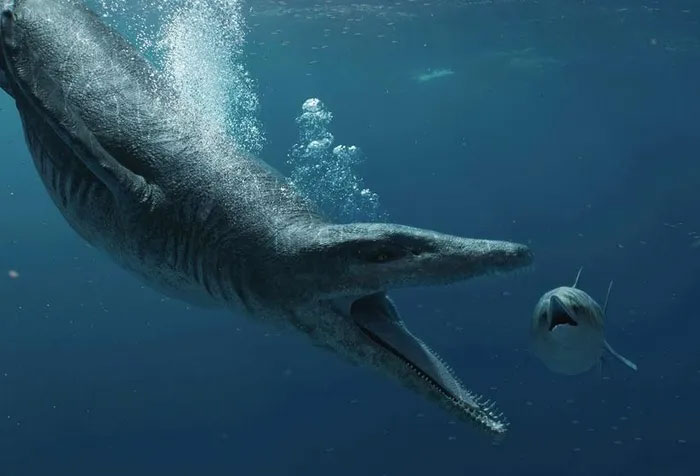 Hình họa về loài Pliosaur. (Ảnh: Jonathan Amos).