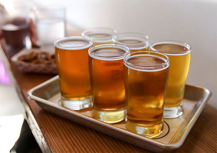 Sự thịnh hành của bia gắn liền với cuộc thuần hóa các loại cây ngũ cốc.