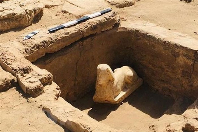 Bức tượng nhân sư được khai quật ở gần ngôi đền Dendera ở Qena, Ai Cập. (Ảnh: AFP/TTXVN).