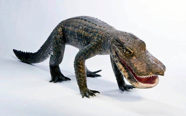 Anatosuchus, còn được gọi là 