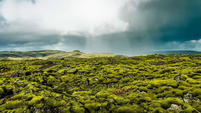 Trải dài trên những vùng đất rộng lớn, những cánh đồng dung nham, ở Iceland này mang đến phong cảnh thu hút.