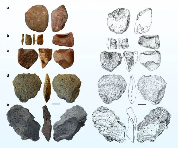 Công cụ đá được khai quật ở Ukraine - Ảnh: NATURE