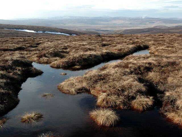 Một đầm lầy than bùn trên Hill of Snowy Slack, Scotland.