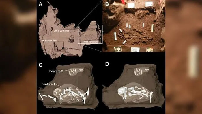 Các phần hài cốt được tìm thấy sâu bên dưới lòng đất ở hang động Cradle of Humankind - (Ảnh: Lee Berger và cộng sự).