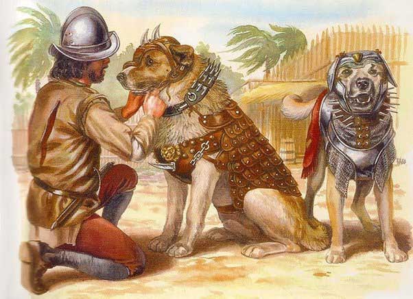 Việc sử dụng áo giáp dành cho chó đã giảm đáng kể sau thời Trung Cổ.