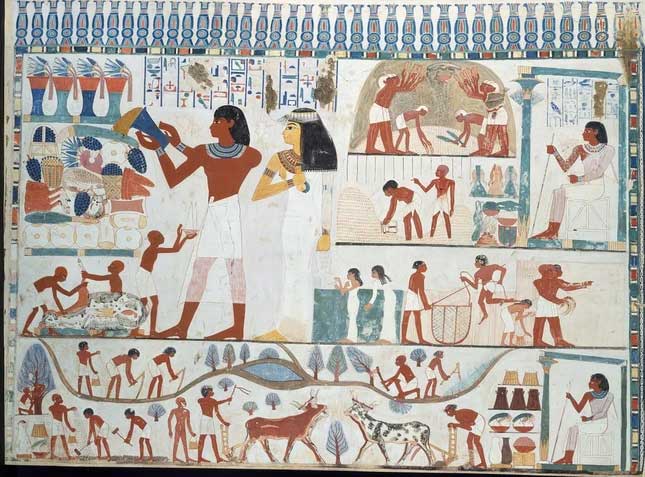 Bản sao của hình vẽ về nông nghiệp được tìm thấy trong lăng mộ của Nakht, một người ghi chép và nhà thiên văn sống dưới triều đại pharaoh Thutmose IV. (Ảnh: Wikimedia Commons)