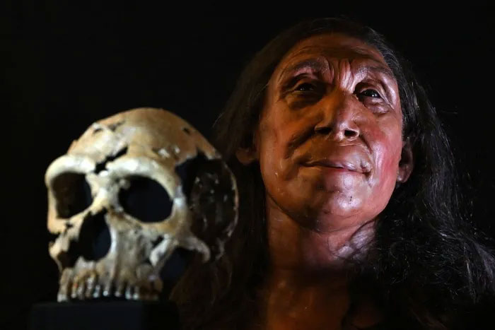 Hộp sọ và khuôn mặt được tái tạo của một phụ nữ Neanderthal sống cách đây 75.000 năm tên Shanidar Z. (Ảnh: AFP).