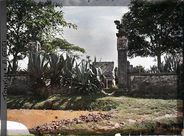 Những cây thùa trước lối vào khu lăng mộ.