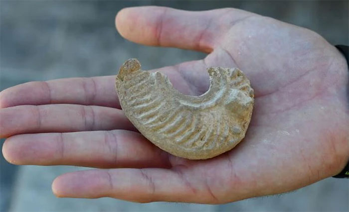 Hiện vật này được một học sinh phát hiện tại pháo đài cổ trên trong chuyến tham quan cùng lớp. (Nguồn: ynetnews).