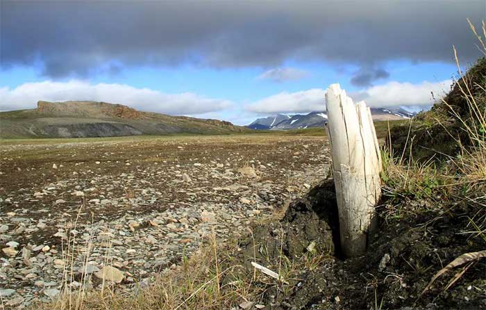 Quang cảnh trên đảo Wrangel ở Bắc Băng Dương, ngoài khơi bờ biển Siberia, Nga. (Nguồn: Reuters).