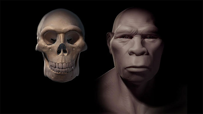 Homo erectus, một loài người khác loài nhưng cùng chi với chúng ta - (Ảnh đồ họa: Science Picture Co)