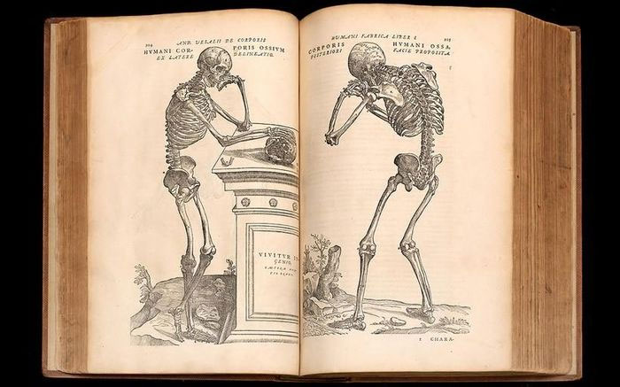 Một trang trong bộ sách Về kết cấu cơ thể người của Vesalius. (Ảnh: Wikipedia.org).