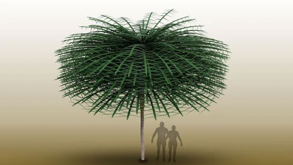Một mô hình do máy tính tạo ra cho thấy cấu trúc thực vật của Sanfordiaaulis, một loại cây được biết đến từ hóa thạch 350 triệu năm tuổi.