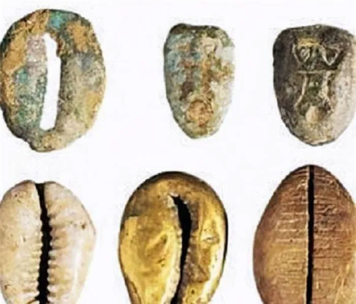 Vỏ sò là tiền tệ ở thời tiền Tần của Trung Quốc