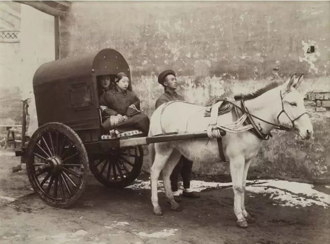 Tác phẩm chụp chiếc xe do la kéo. Theo Lý Hân, chuyên gia lĩnh vực đấu giá ảnh, Sanshichiro Yamamoto là một trong gần 10 nhiếp ảnh gia quan trọng ghi lại Trung Quốc thế kỷ 19. Ông có những góc khai thác đề tài riêng, để lại tư liệu quý về Bắc Kinh.