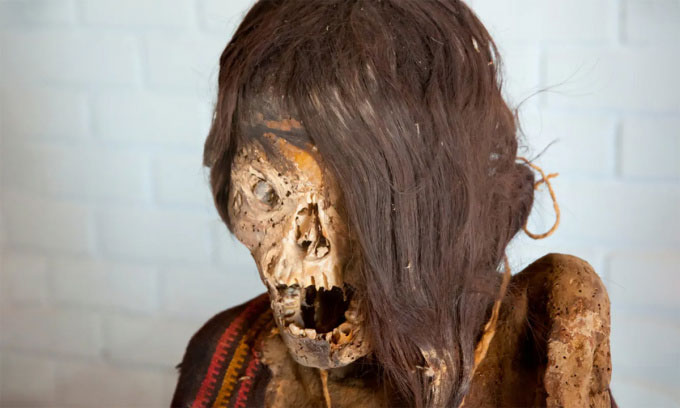Các xác ướp Andean cổ đại thường có hộp sọ bị làm biến dạng một cách cố ý. (Ảnh: Adwo/Shutterstock).